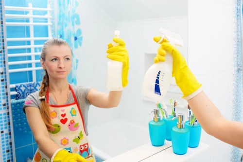 Domestic cleaner working in a Hammersmith living room