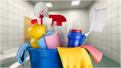 Odour removal process for pet accidents on upholstery in Hammersmith