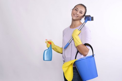Domestic cleaner preparing kitchen and living room cleaning in Hammersmith