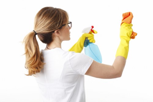 Cleaner checking tools and safety procedures before work