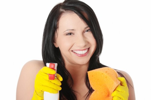 Local appliance cleaning service for Hammersmith homes and businesses