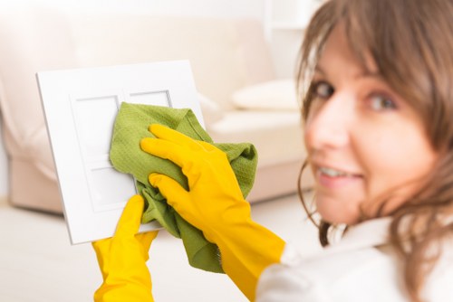 Local sofa cleaning for pet stains and everyday wear