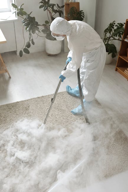 A professional cleaner dressed in full protective gear, including a white coverall, gloves, mask, and shoe covers, is using a steam or vapor cleaning machine on a light-colored carpet in a bright, modern living room. The room features a wooden side table, a large potted plant with leafy branches, and natural light coming through a window. The cleaner is focused on deep cleaning the carpet surface, ensuring hygienic sanitisation and thorough surface cleaning. The area appears clean and well-maintained, reflecting the services provided by Carpet Cleaners Hammersmith for domestic cleaning and surface maintenance.